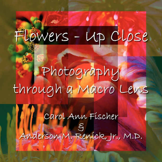 Flowers - Up Close