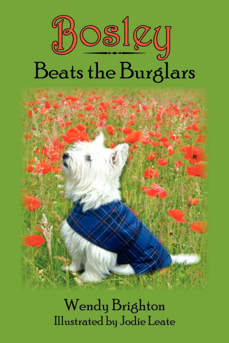 Bosley Beats the Burglars