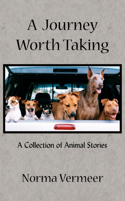 A Journey Worth Taking