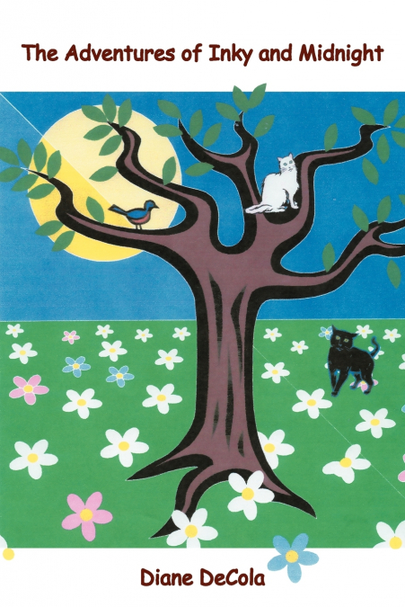 The Adventures of Inky and Midnight