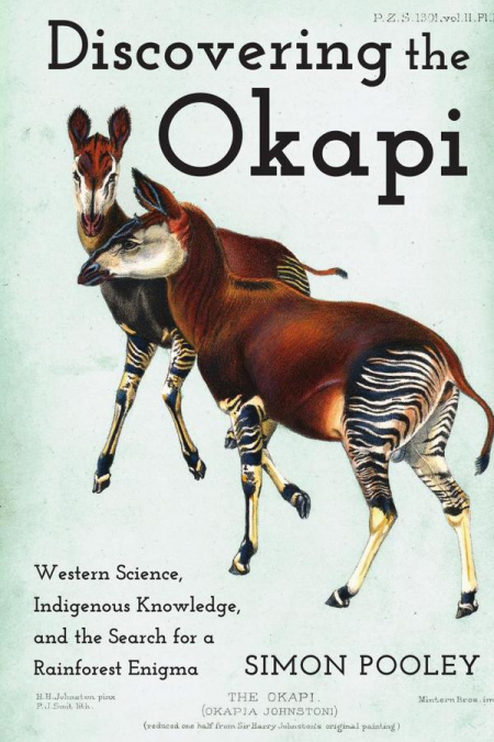 Discovering the Okapi