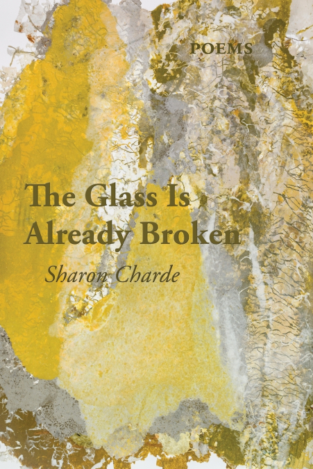 THE GLASS IS ALREADY BROKEN