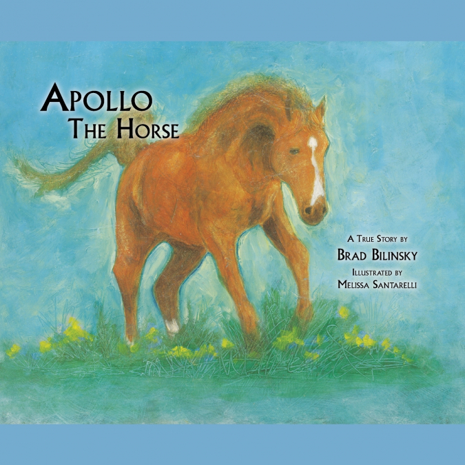 Apollo the Horse