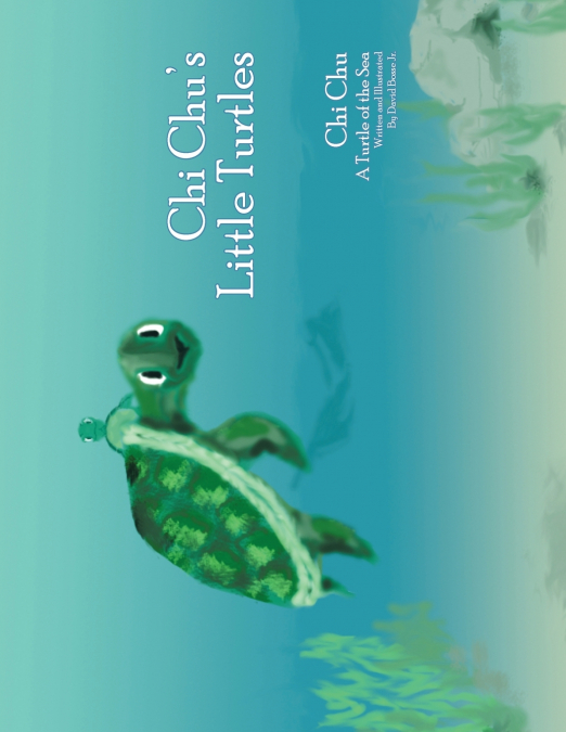 Chi Chu’s Little Turtles