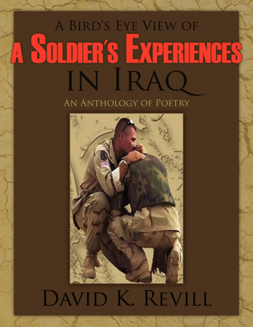 A Bird’s Eye View of a Soldier’s Experiences in Iraq