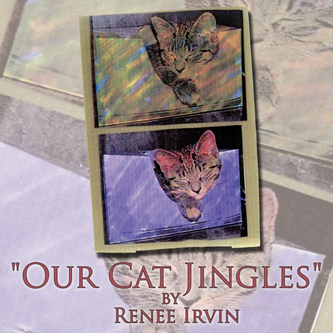 'Our Cat Jingles'