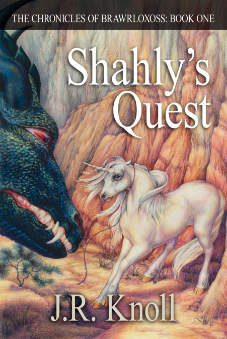 Shahly’s Quest