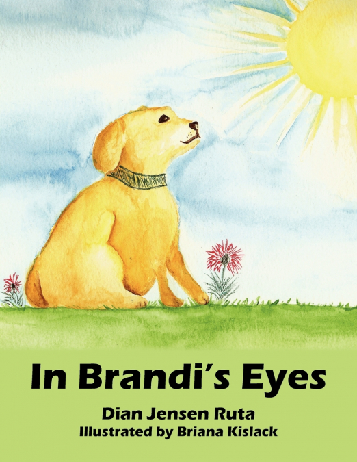 In Brandi’s Eyes