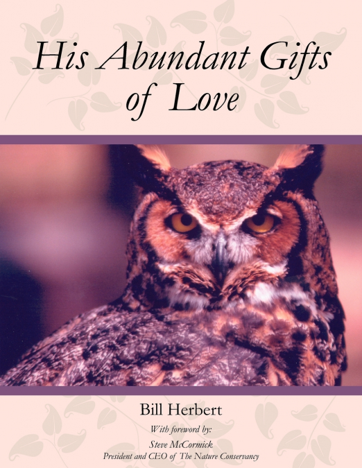 His Abundant Gifts of Love