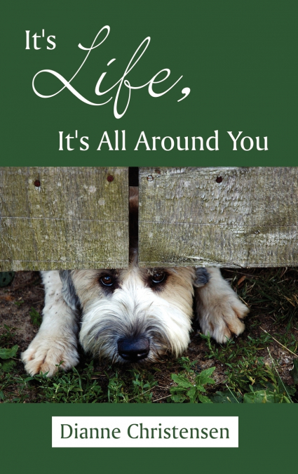 It’s Life, It’s All Around You