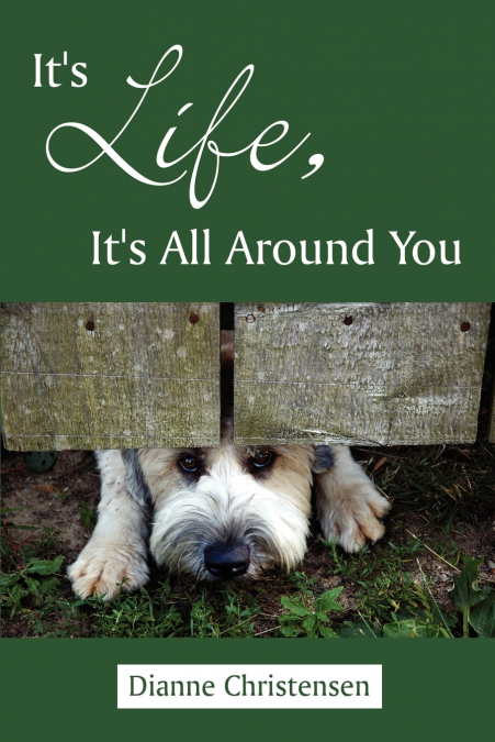 It’s Life, It’s All Around You