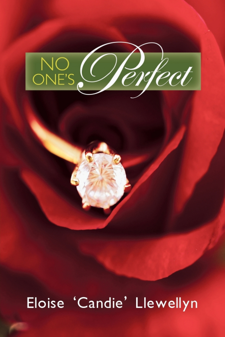 No One’s Perfect