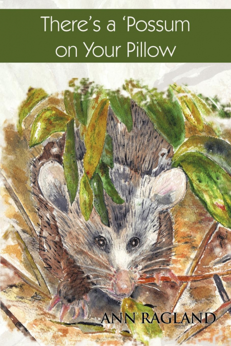 There’s a ’Possum on Your Pillow