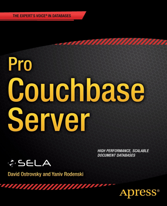 Pro Couchbase Server
