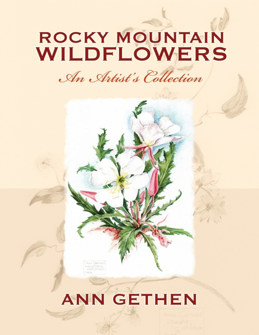 Rocky Mountain Wildflowers An Artist’s Collection