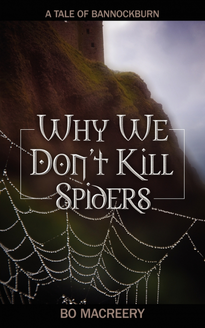 Why We Don’t Kill Spiders