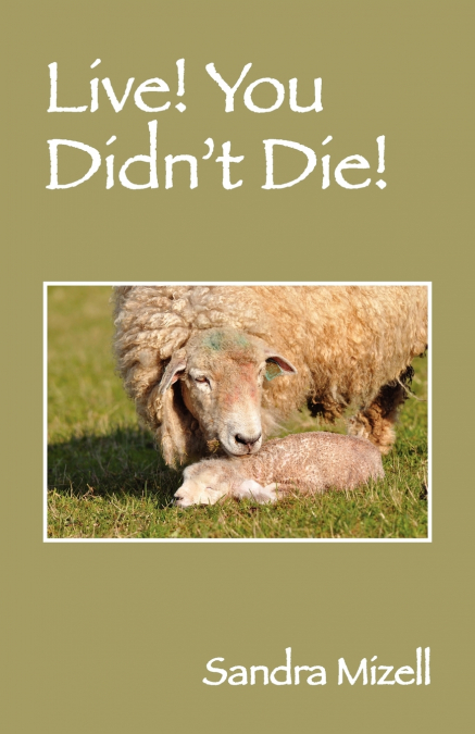 Live! You Didn’t Die!