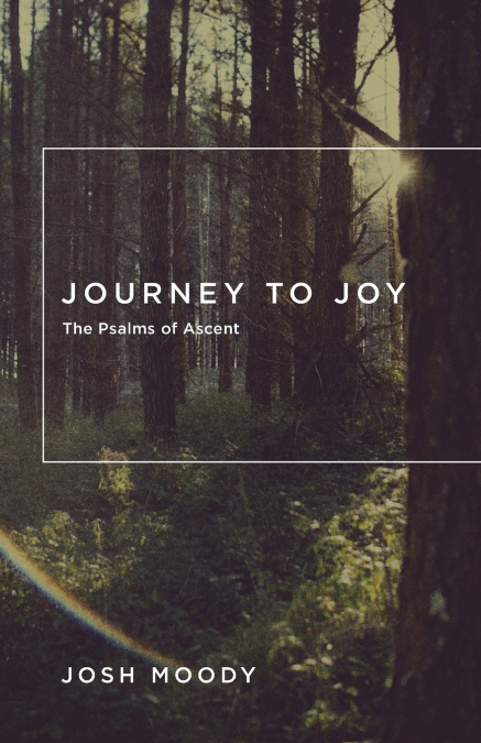 Journey to Joy