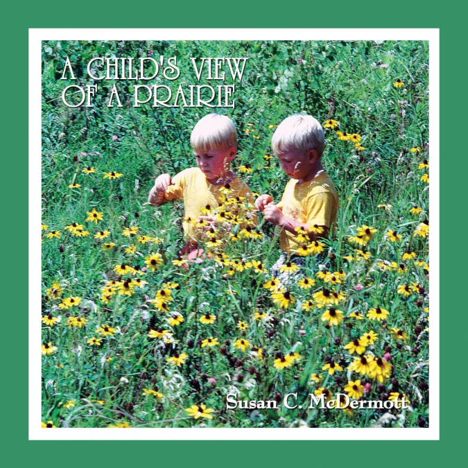 A Child’s View of a Prairie