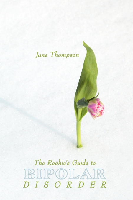 The Rookie’s Guide to Bipolar Disorder