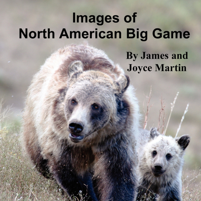 Images of North American Big Game