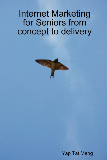 Internet Marketing for Seniors from concept to delivery
