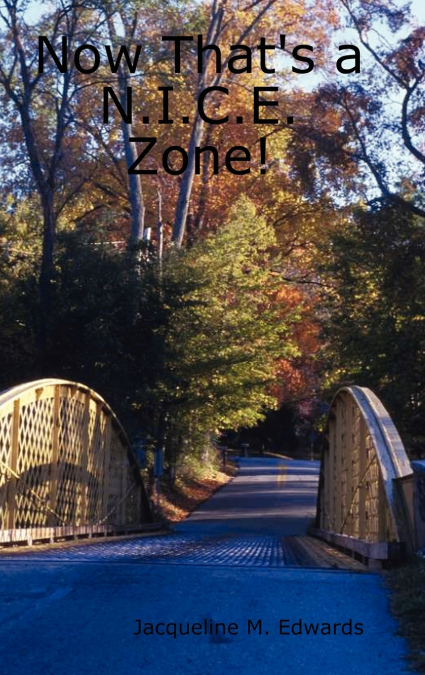 Now That’s a N.I.C.E. Zone!