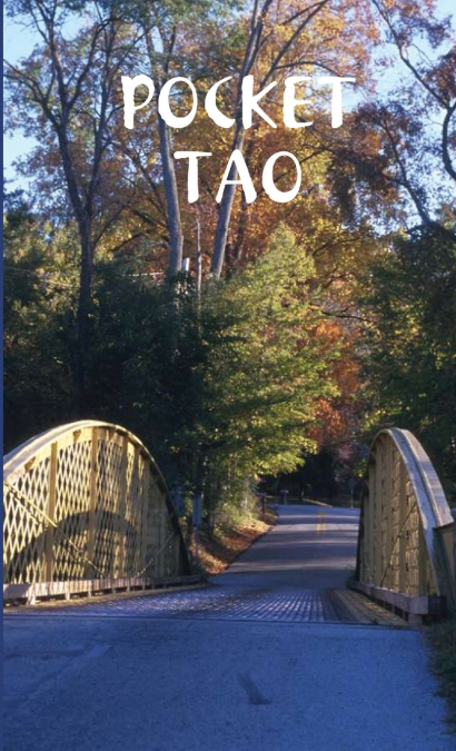 POCKET TAO