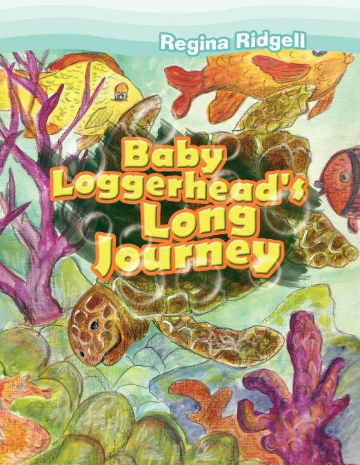 Baby Loggerhead’s Long Journey