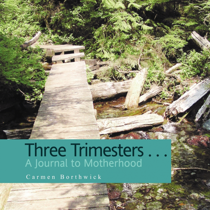 Three Trimesters ... A Journal to Motherhood
