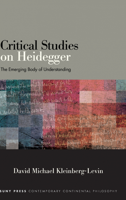 Critical Studies on Heidegger