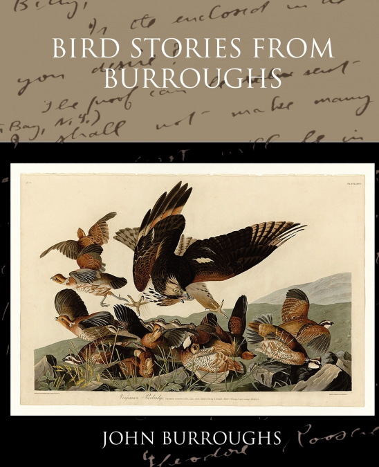 Bird Stories from Burroughs