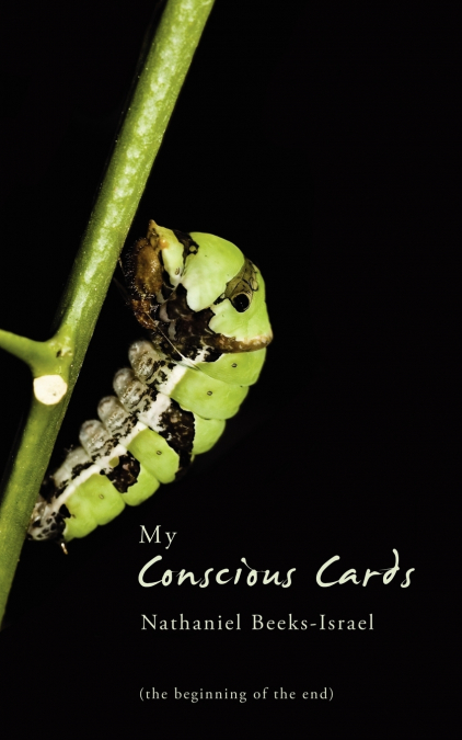 My Conscious Cards