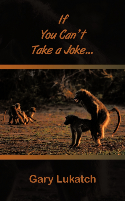 If You Can’t Take a Joke...