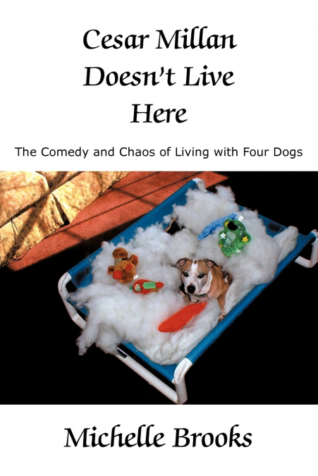 Cesar Millan Doesn’t Live Here