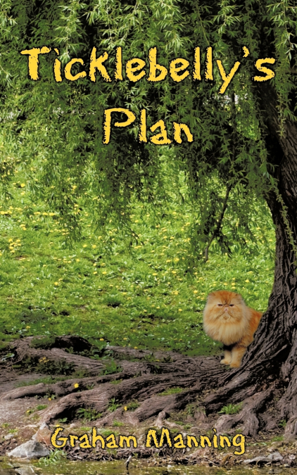 Ticklebelly’s Plan