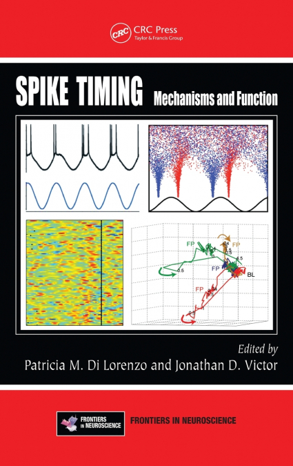 Spike Timing