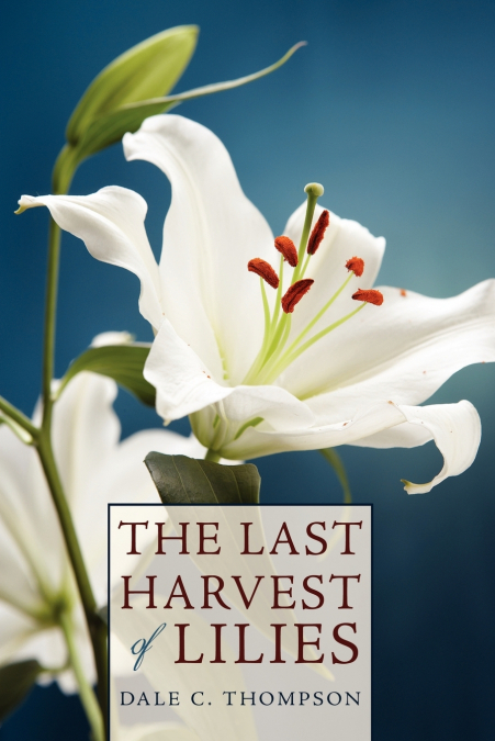 Last Harvest of Lilies