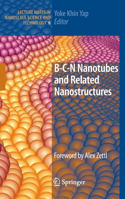 B-C-N Nanotubes and Related Nanostructures