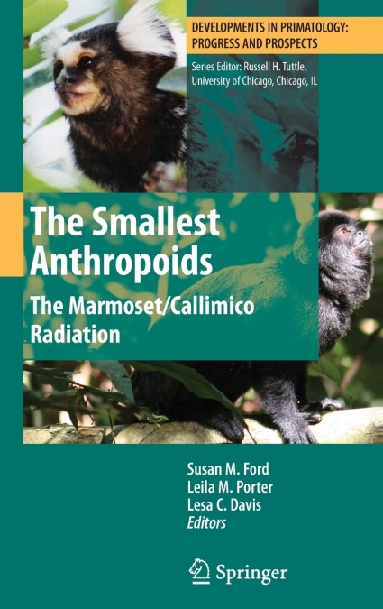 The Smallest Anthropoids