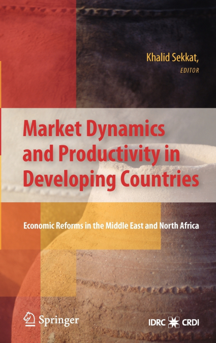 Market Dynamics and Productivity in Developing Countries