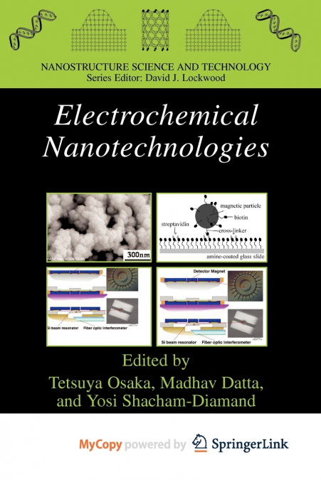 Electrochemical Nanotechnologies