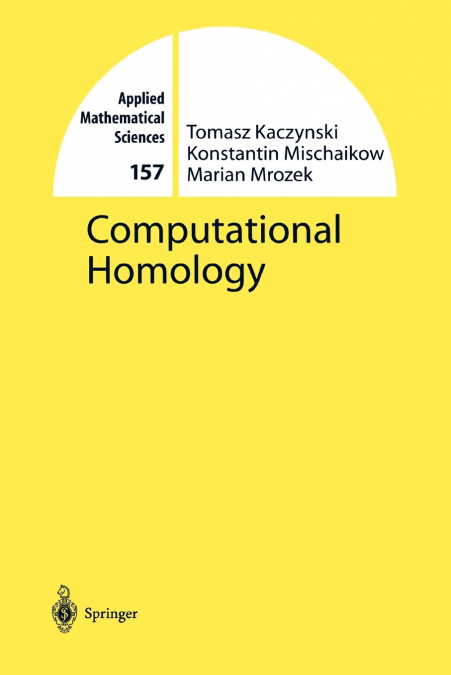 Computational Homology