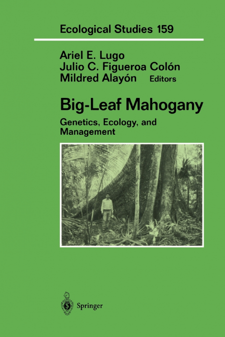 Big-Leaf Mahogany