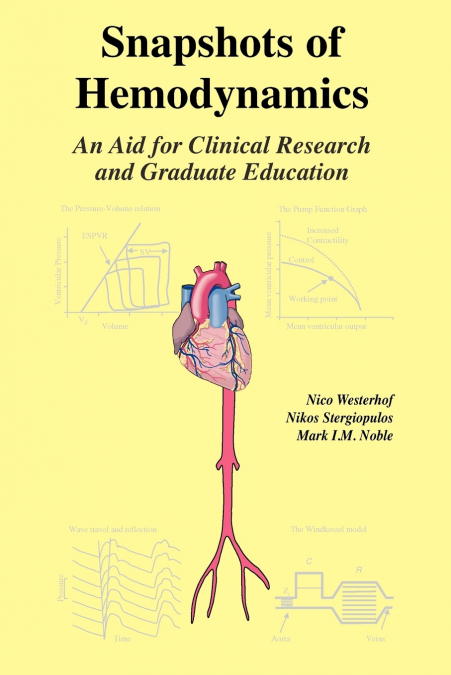 Snapshots of Hemodynamics