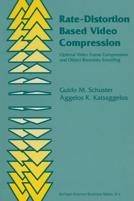 Rate-Distortion Based Video Compression