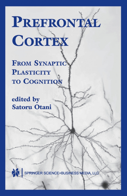 Prefrontal Cortex