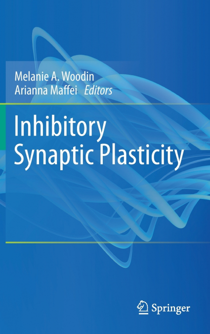 Inhibitory Synaptic Plasticity