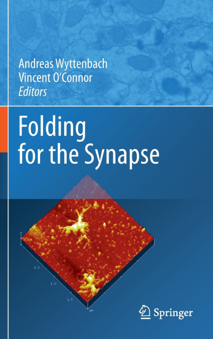 Folding for the Synapse