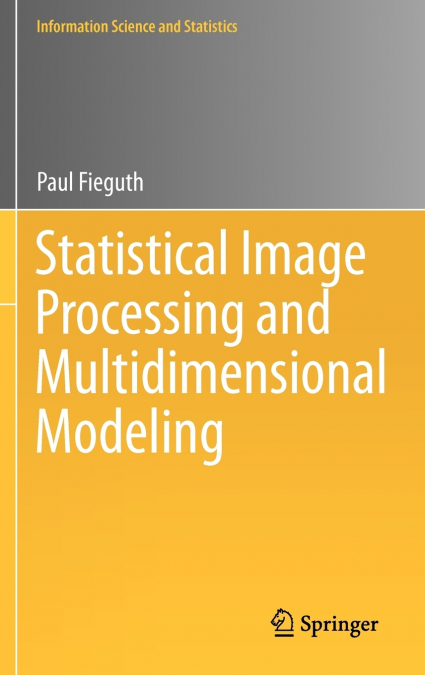 Statistical Image Processing and Multidimensional Modeling